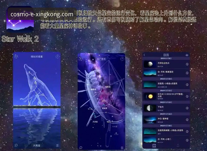 星空体育官网最新版本对比 星空娱乐平台最新版本对比详解